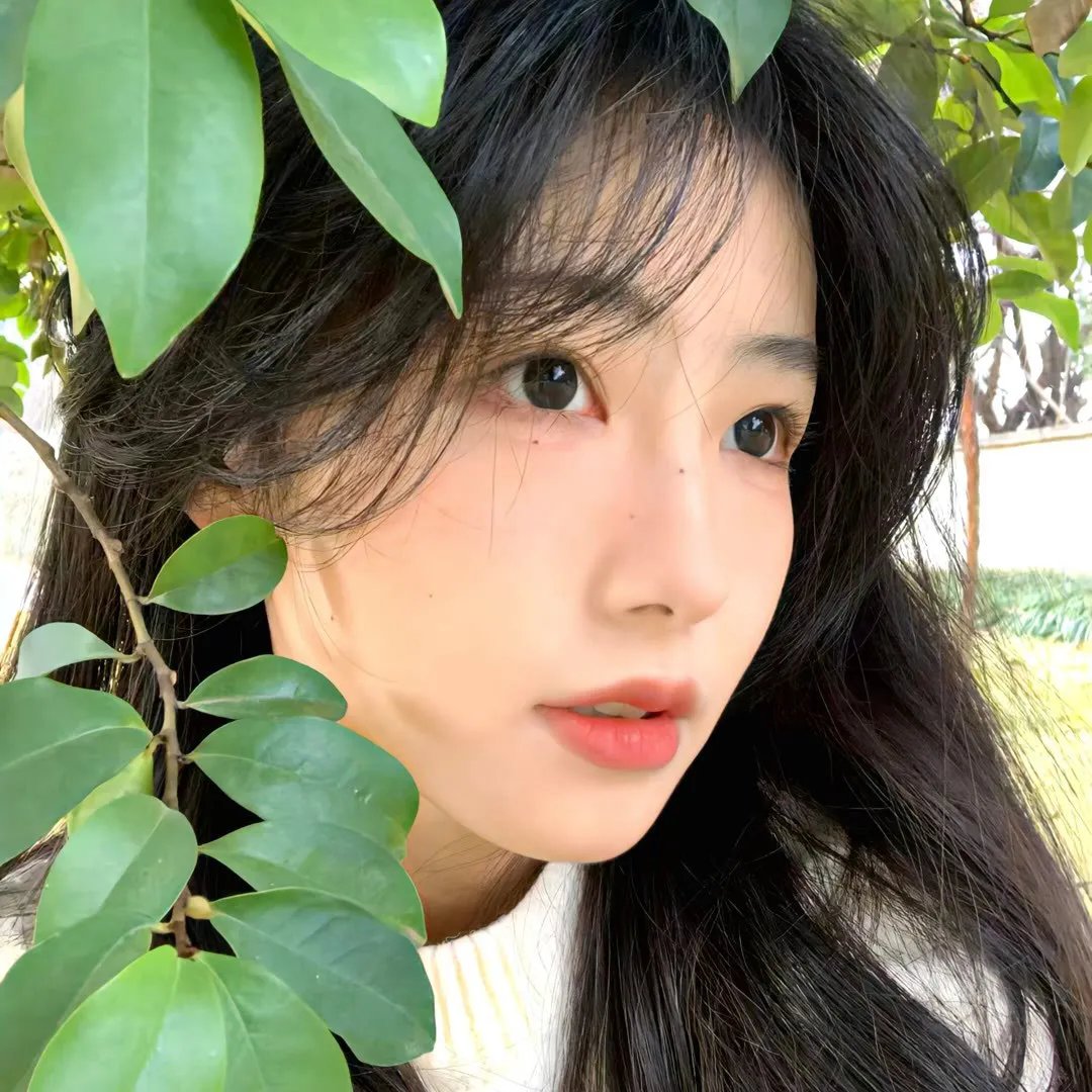谈情说爱